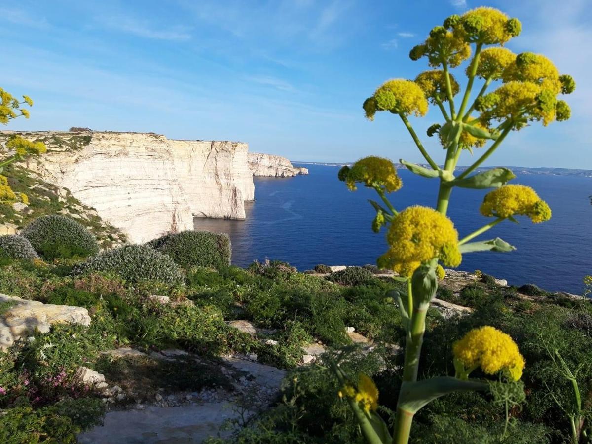 Ad Hoc B&B Il-Pergla Εξωτερικό φωτογραφία